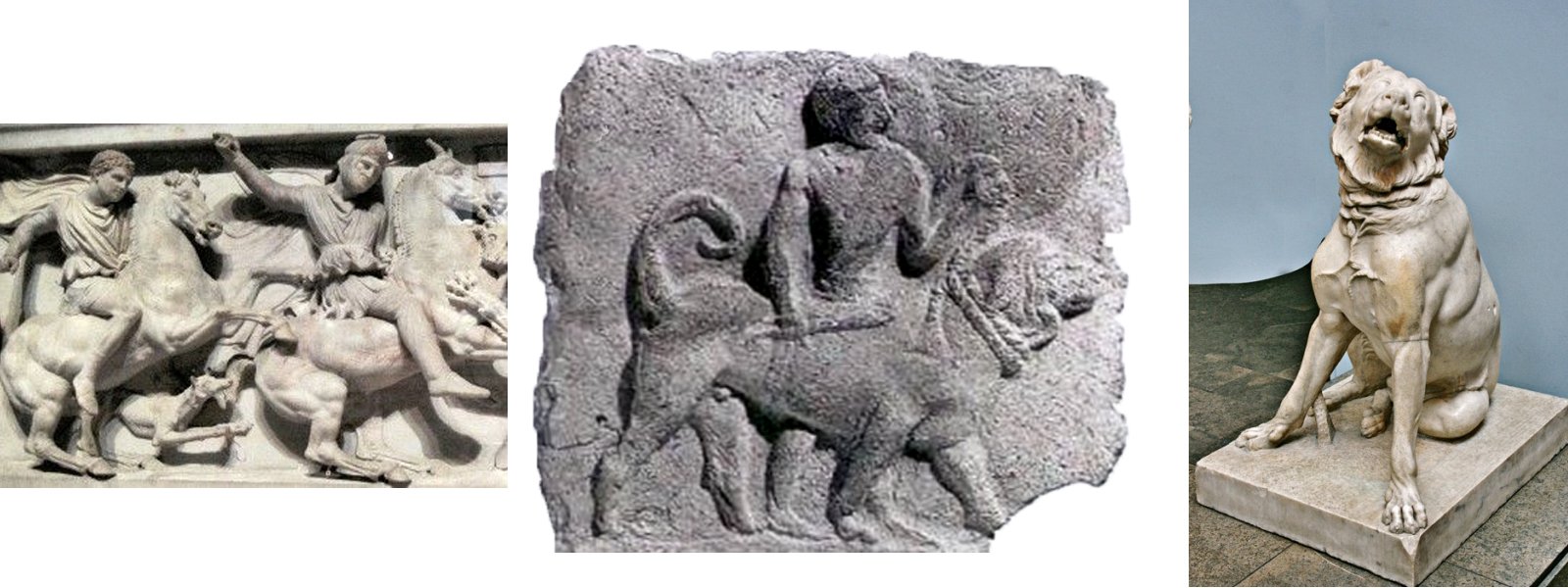 پریتاس اولین سگ معروف تاریخ