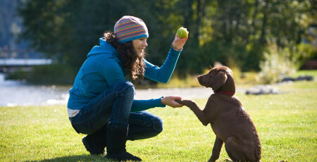 آموزش فرمان ایست به سگ به شکل سرگرم‌کننده و آسان
