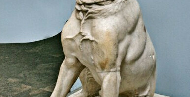 سگ اسکندر مقدونی پریتاس