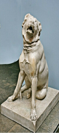 سگ اسکندر مقدونی پریتاس